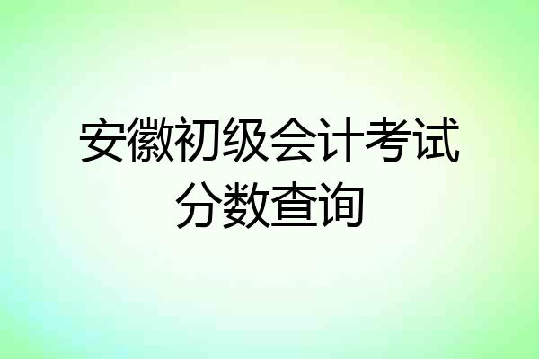 安徽初级会计考试分数查询