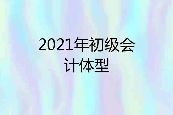 2021年初级会计体型