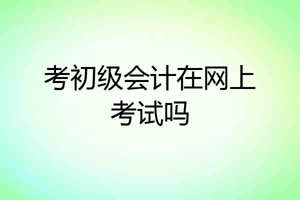 考初级会计在网上考试吗