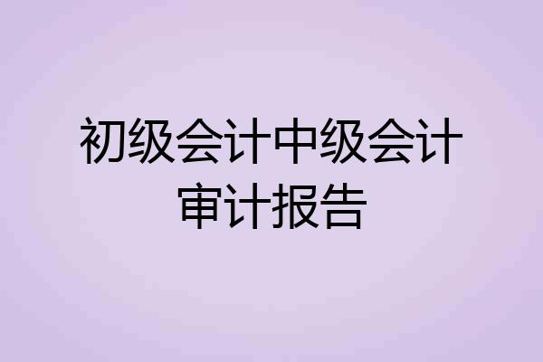 初级会计中级会计审计报告