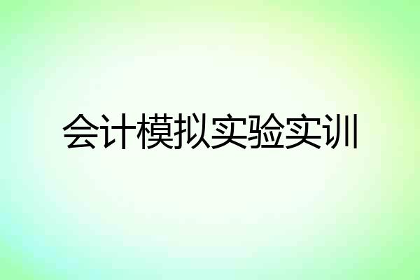 会计模拟实验实训