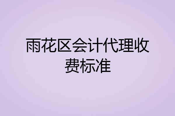 雨花区会计代理收费标准