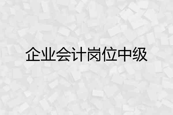 企业会计岗位中级