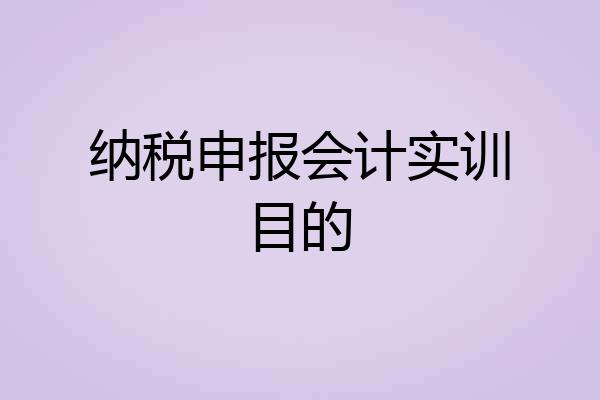 纳税申报会计实训目的
