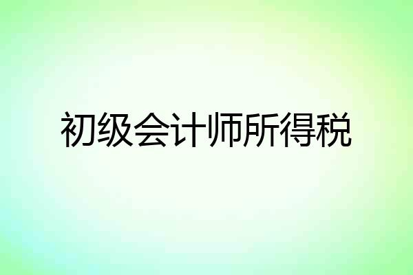 初级会计师所得税