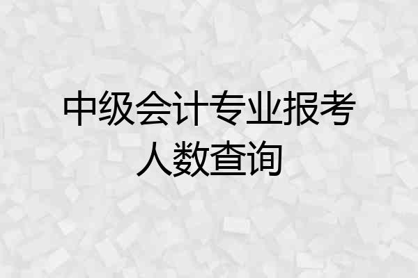 中级会计专业报考人数查询