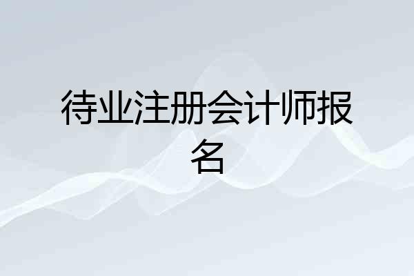 待业注册会计师报名