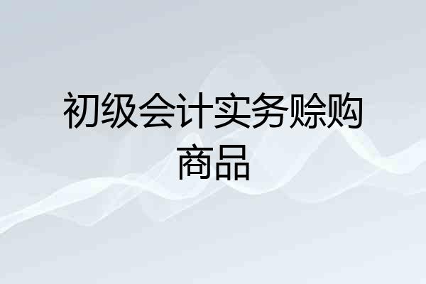 初级会计实务赊购商品