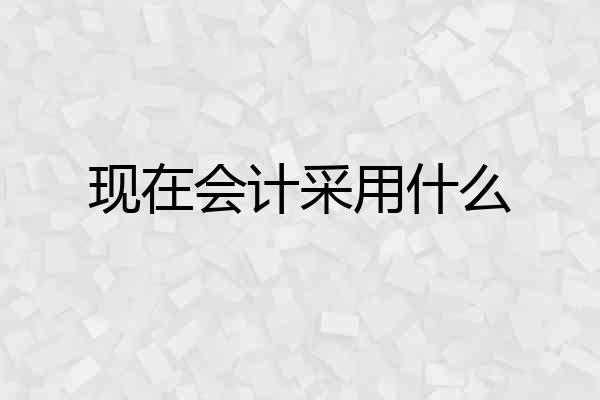 现在会计采用什么