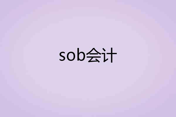 sob会计