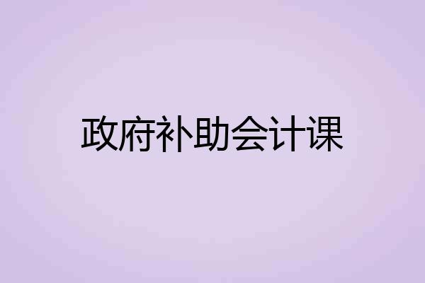 政府补助会计课