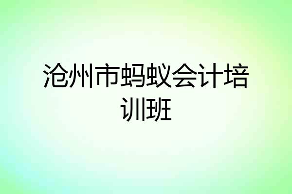 沧州市蚂蚁会计培训班