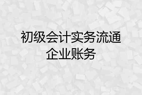 初级会计实务流通企业账务