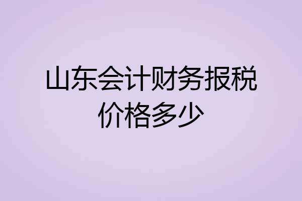 山东会计财务报税价格多少