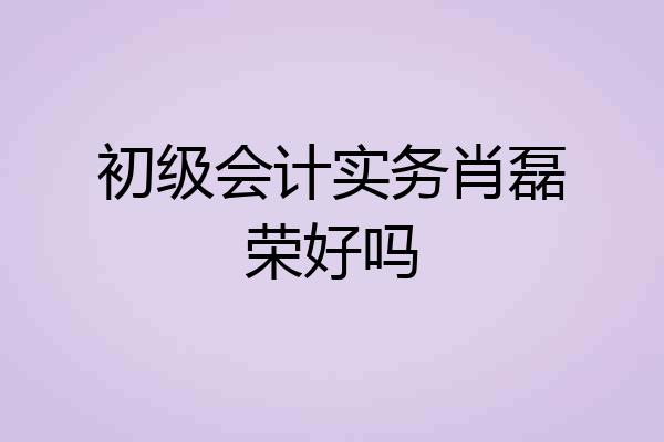 初级会计实务肖磊荣好吗