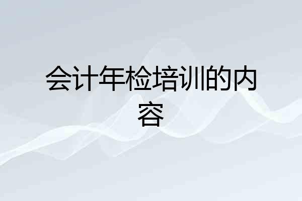 会计年检培训的内容