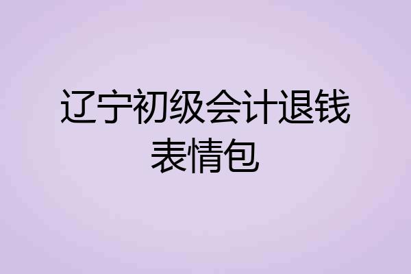 辽宁初级会计退钱表情包