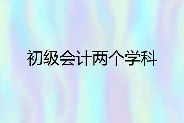 初级会计两个学科