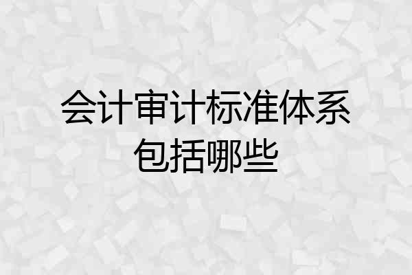 会计审计标准体系包括哪些