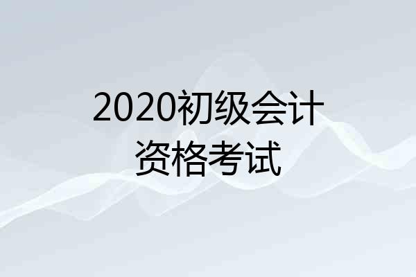 2020初级会计资格考试