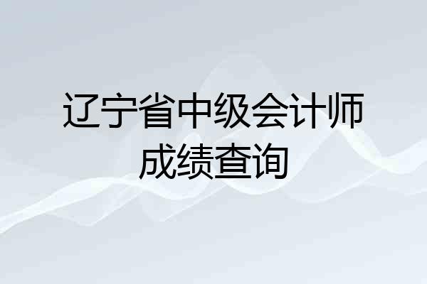 辽宁省中级会计师成绩查询