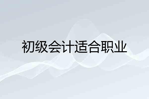初级会计适合职业