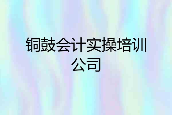 铜鼓会计实操培训公司