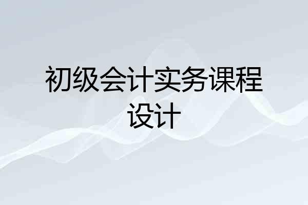 初级会计实务课程设计