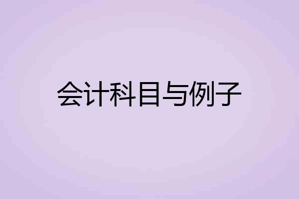 会计科目与例子