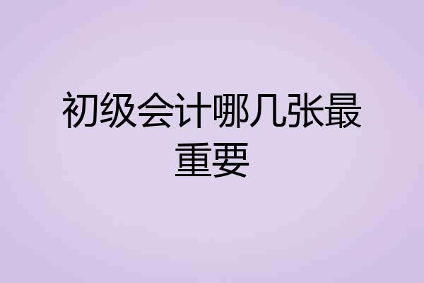初级会计哪几张最重要