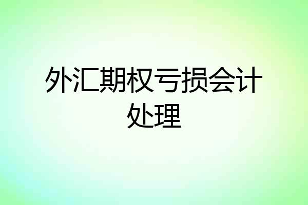 外汇期权亏损会计处理
