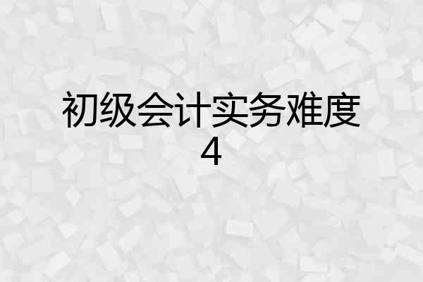 初级会计实务难度4
