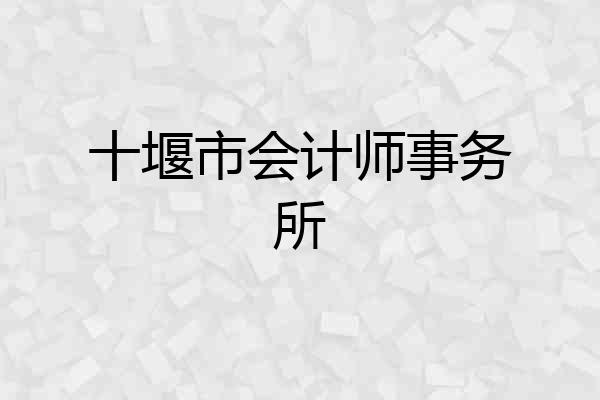 十堰市会计师事务所