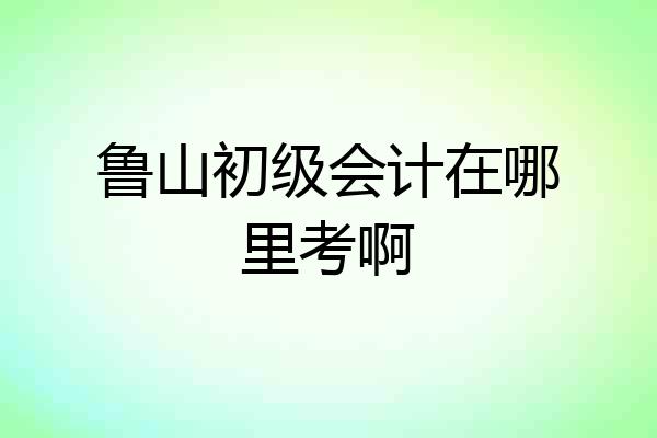 鲁山初级会计在哪里考啊