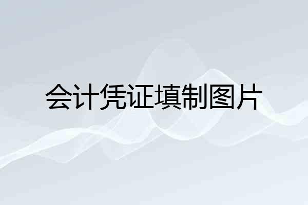 会计凭证填制图片