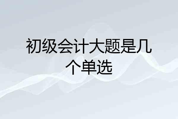 初级会计大题是几个单选
