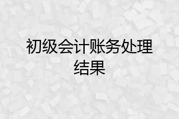初级会计账务处理结果
