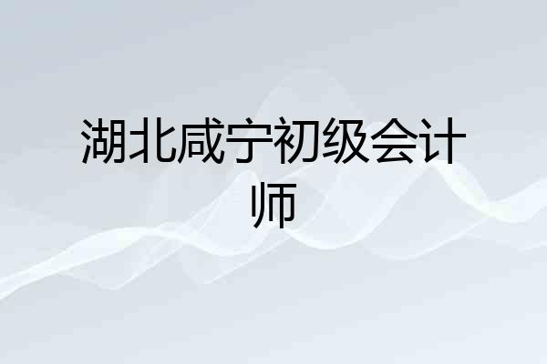 湖北咸宁初级会计师