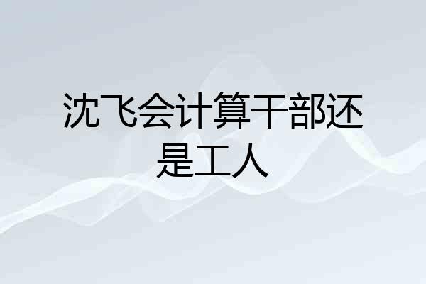 沈飞会计算干部还是工人