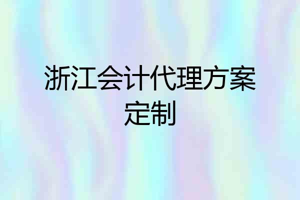 浙江会计代理方案定制