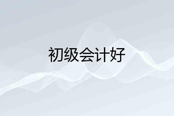 初级会计好