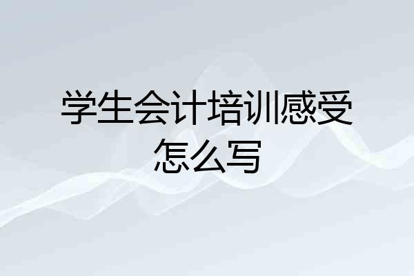 学生会计培训感受怎么写