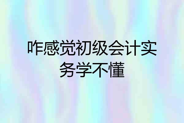咋感觉初级会计实务学不懂