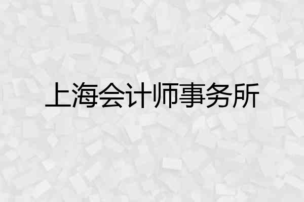 上海会计师事务所