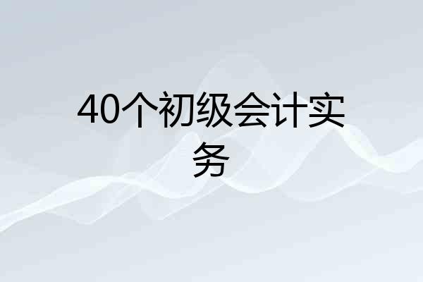 40个初级会计实务