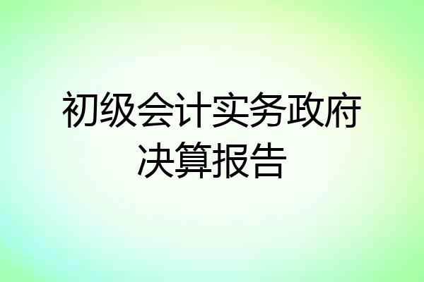 初级会计实务政府决算报告