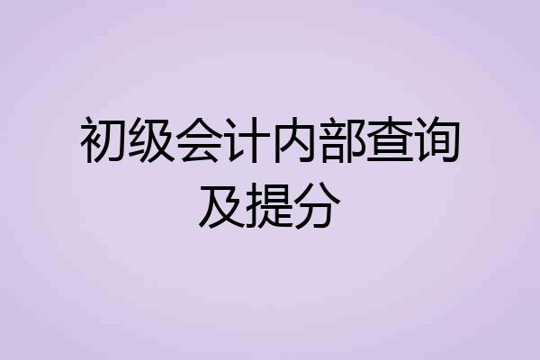 初级会计内部查询及提分