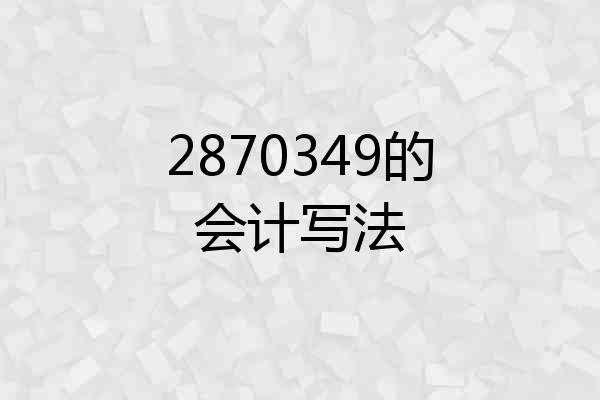 2870349的会计写法