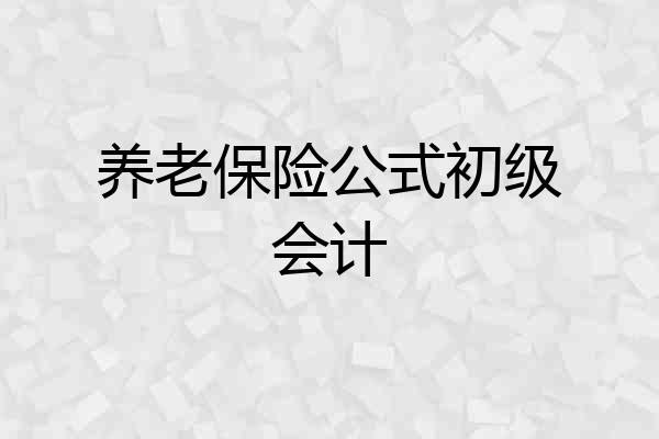 养老保险公式初级会计