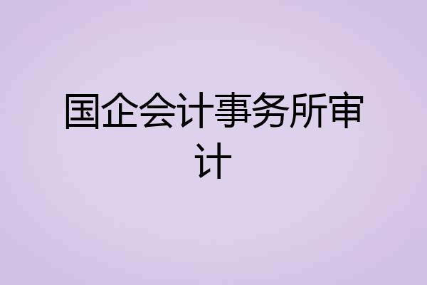 国企会计事务所审计